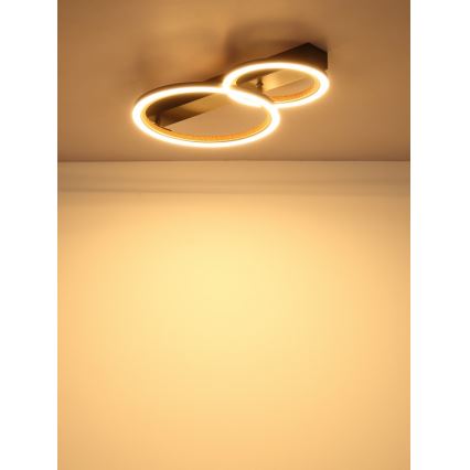 Globo - LED-loftlampe LED/30W/230V 3000K 44x30 cm
