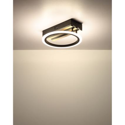Globo - LED-loftlampe LED/10W/230V 3000/4200/6000K