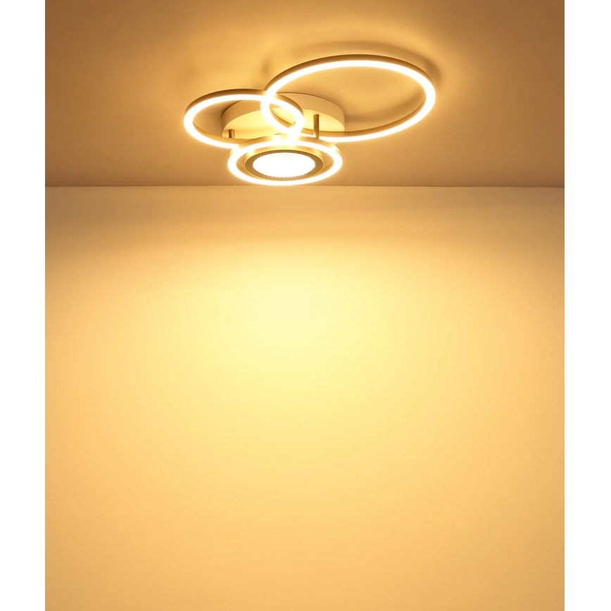 Globo - LED-loftlampe LED/40W/230V 3000K 49x39 cm