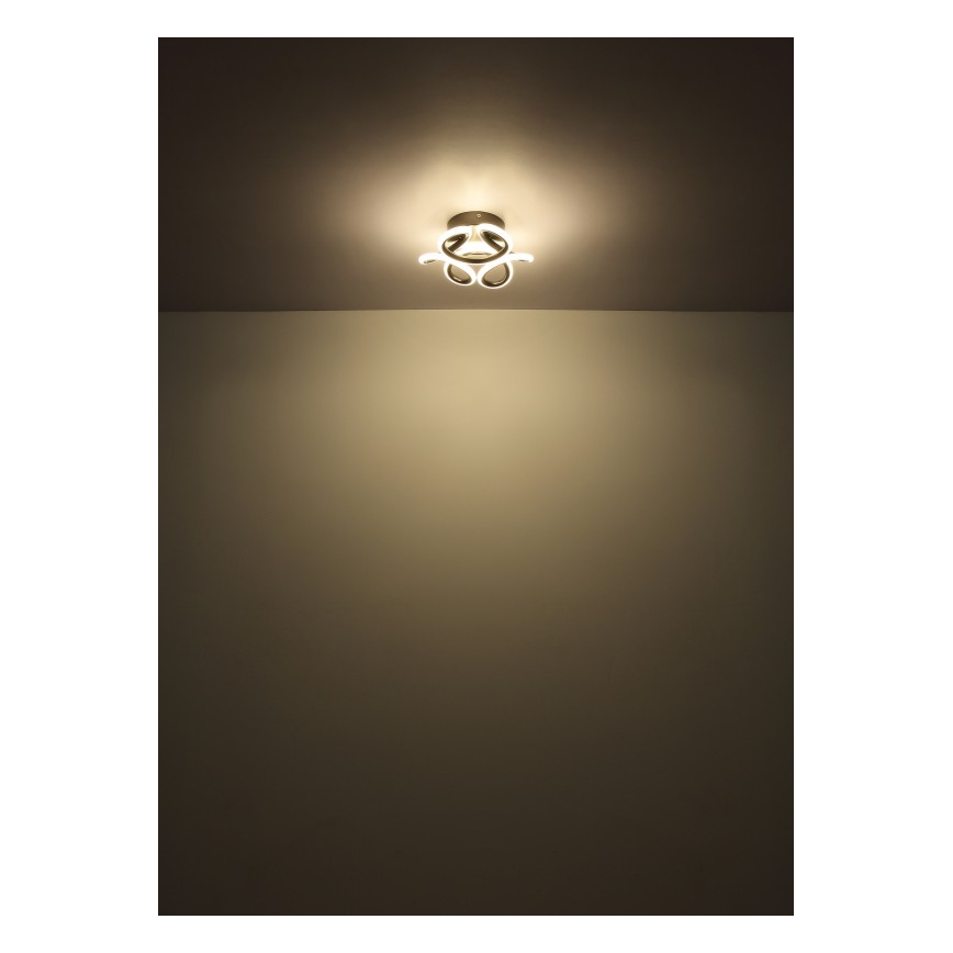 Globo - LED loftlampe LED/24W/230V 2700/4000/6000K diameter 26 cm sort