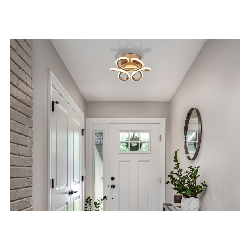 Globo - LED loftlampe LED/24W/230V 2700/4000/6000K diameter 26 cm guldfarvet