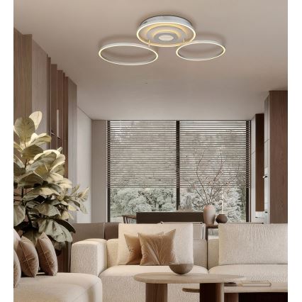 Globo - LED dæmpbar loftlampe LED/40W/230V 2700-6500K 57x99,2 cm sølv + fjernbetjening