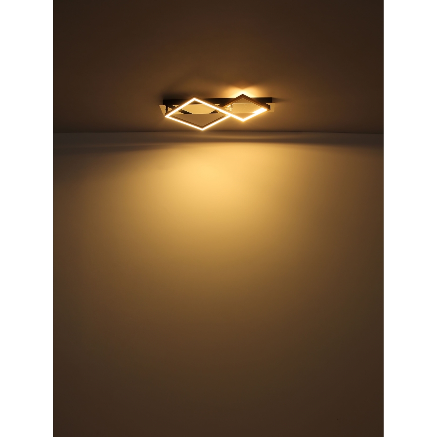 Globo - LED loftlampe LED/24W/230V 3000K
