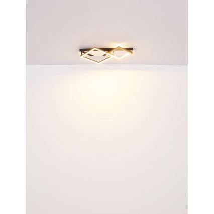 Globo - LED loftlampe LED/24W/230V 3000K