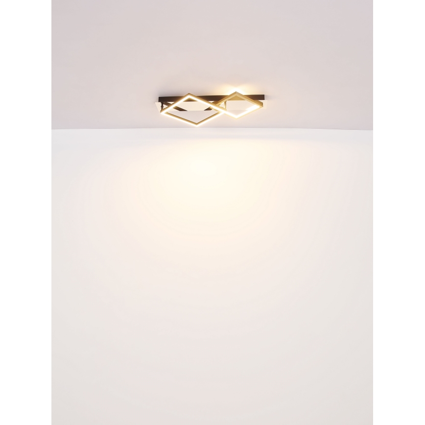 Globo - LED loftlampe LED/24W/230V 3000K