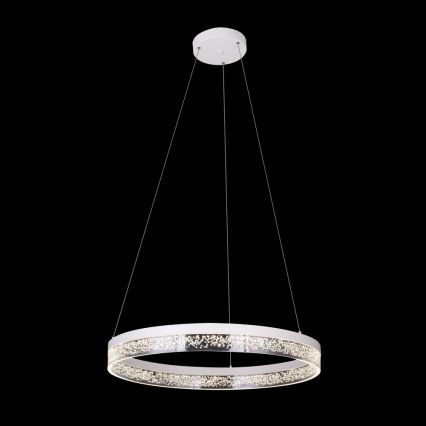 Globo - LED lysekrone i en snor 1xLED/36W/230V