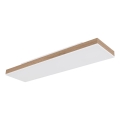 Globo - Dæmpbar LED-loftlampe LED/24W/230V 2700-6500K 20x80 cm + fjernbetjening
