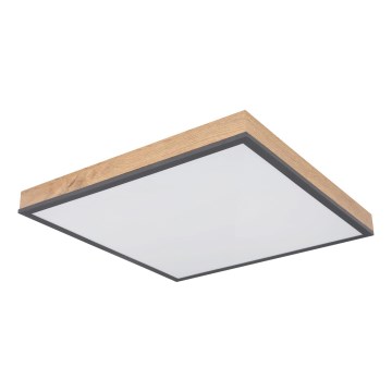 Globo - Dæmpbar LED-loftlampe LED/24W/230V 3000-6500K 45x45 cm