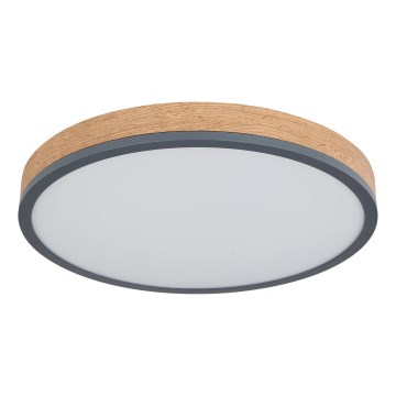 Globo - Dæmpbar LED-loftlampe LED/24W/230V 3000-6500K Ø 45 cm