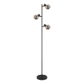Globo - Gulvlampe 3xE14/40W/230V sort