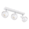 Globo - Hvid spotlampe 3xE14/40W/230V