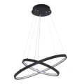 Globo - LED dæmpbar loftlampe på kabel 2xLED/21W/230V