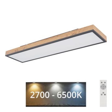 Globo - LED loftlampe dæmpbar LED/24W/230V 2700-6500K + fjernbetjening