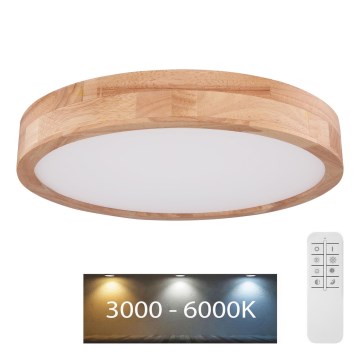 Globo - LED loftlampe dæmpbar LED/24W/230V 3000-6000K + fjernbetjening