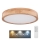 Globo - LED loftlampe dæmpbar LED/24W/230V 3000-6000K + fjernbetjening