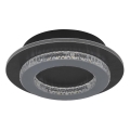 Globo - LED loftlampe LED/12W/230V 3000/4000/6500K Ø 20 cm antracit