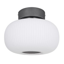 Globo - LED loftlampe LED/12W/230V
