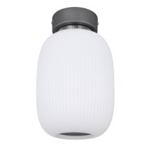 Globo - LED loftlampe LED/21W/230V