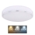 Globo - LED loftlampe LED/24W/230V 3000/4000/6000K diameter 37,5 cm
