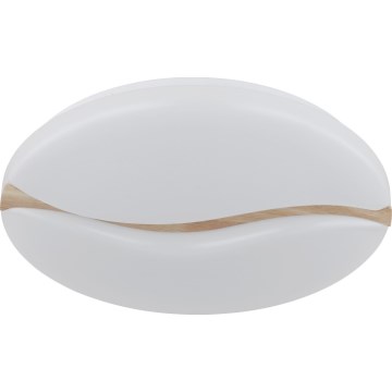 Globo - LED loftlampe LED/24W/230V 3000/4200/6000K diameter 33 cm