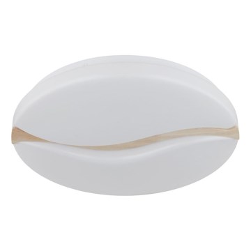 Globo - LED loftlampe LED/24W/230V 3000/4200/6000K Ø 39 cm
