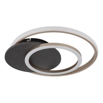 Globo - LED loftlampe LED/24W/230V
