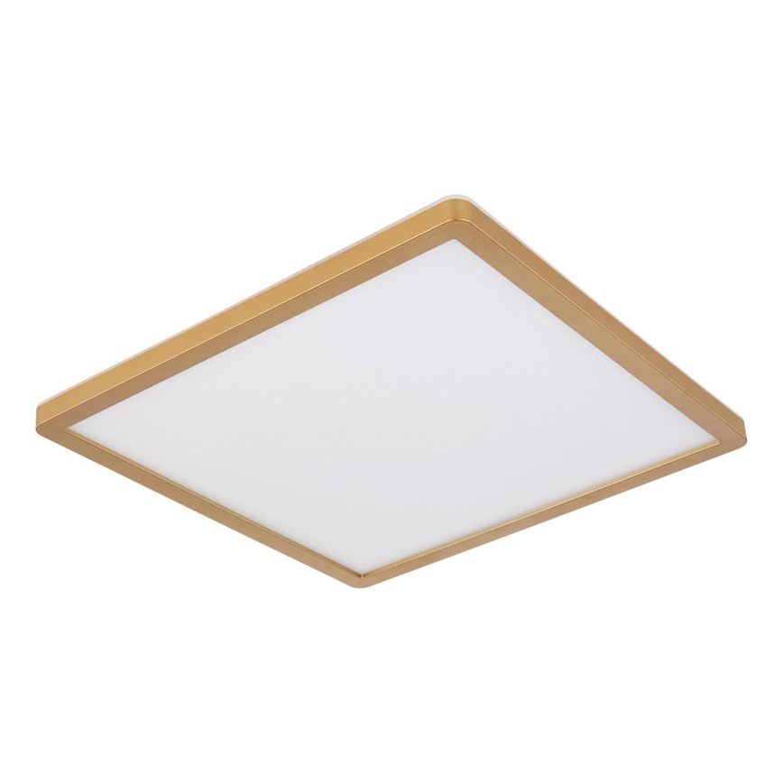 Globo - LED loftlampe til badeværelse dæmpbar LED/18W/230V 3000K IP44 29,4x29,4 cm messing