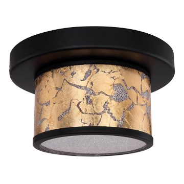 Globo - LED loftsbelysning LED/12W/230V