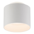 Globo - LED loftsbelysning LED/8W/230V