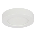 Globo - LED lysdæmper badeværelsesbelysning 1xLED/18W/230V IP44