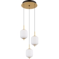 Globo - LED pendel LED/20W/230V