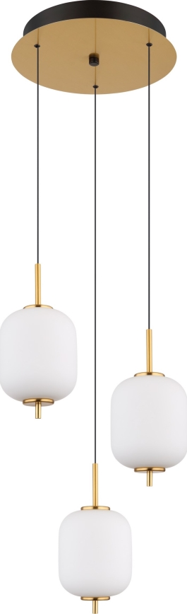 Globo - LED pendel LED/20W/230V