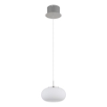 Globo - LED pendel LED/6W/230V hvid