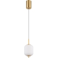 Globo - LED pendel LED/7W/230V