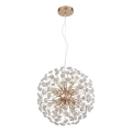Globo - LED-pendel på wire 8xG9/3,5W/230V Ø 40 cm guld