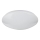 Globo - LED RGB dæmpbar loftlampe LED/24W/230V + LED/8W 2700-6500K Ø 41 cm + fjernbetjening
