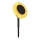 Globo - LED solcellelampe LED/0,06W/3V slunečnice IP44