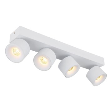 Globo - LED spotlampe 4xLED/6W/230V hvid
