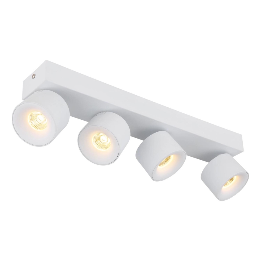 Globo - LED spotlampe 4xLED/6W/230V hvid