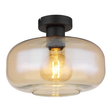 Globo - Loftlampe 1xE27/40W/230V diameter 28 cm transparent