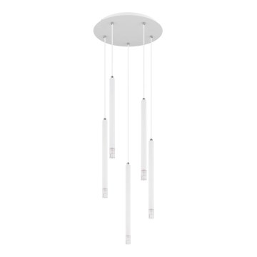 Globo - Pendel 5xG9/4W/230V diameter 34 cm