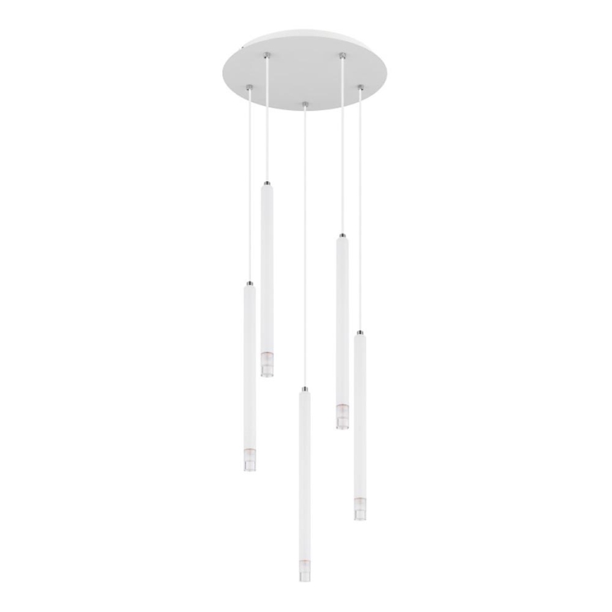 Globo - Pendel 5xG9/4W/230V diameter 34 cm