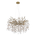 Globo - Pendel med kabel 10xE14/40W/230V guld