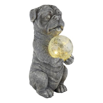 Globo - Soldrevet LED dekoration LED/0,02W/3V IP44 hund