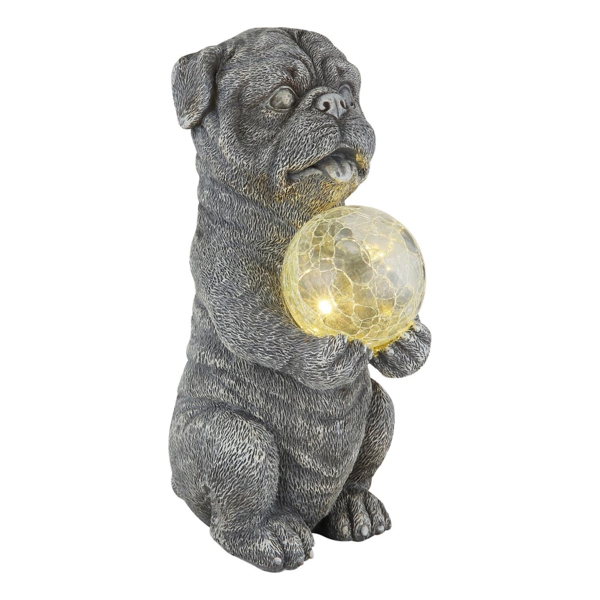Globo - Soldrevet LED dekoration LED/0,02W/3V IP44 hund