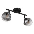 Globo - Spotarmatur 2xG9/5W/230V