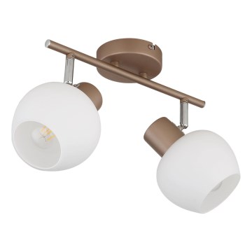 Globo - Spotlampe 2xE27/40W/230V