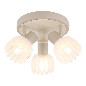 Globo - Spotlampe 3xE14/40W/230V