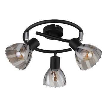 Globo - Spotlampe 3xE14/40W/230V sort