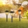 Globo - SÆT 3x LED solcellelampe 3xLED/1,2V IP44 200 mAh